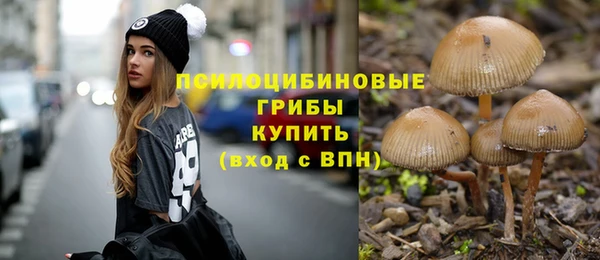 мдпв Елабуга
