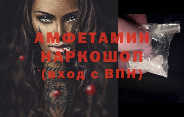 мдпв Елабуга