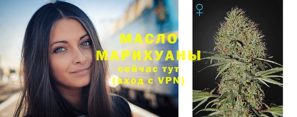 мдпв Елабуга