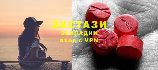 мдпв Елабуга