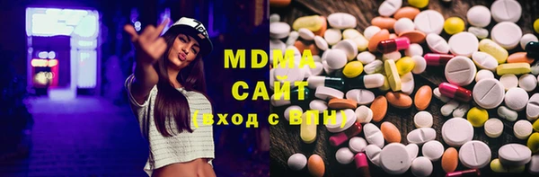 индика Елизово