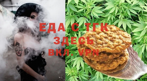 индика Елизово