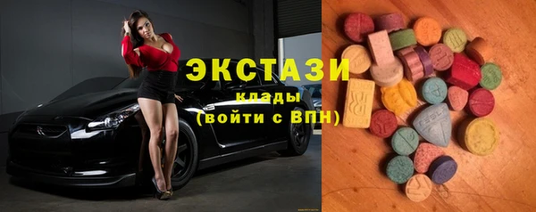 индика Елизово