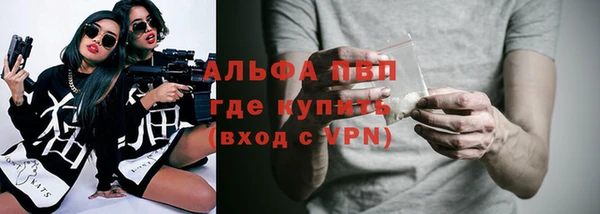 мдпв Елабуга