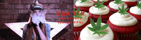 индика Елизово
