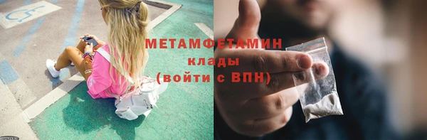 индика Елизово