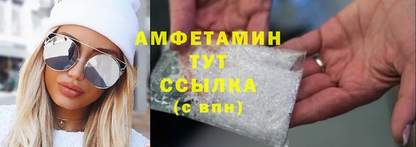 индика Елизово
