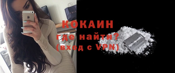 индика Елизово