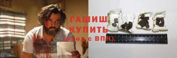 индика Елизово