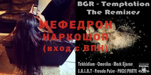 индика Елизово