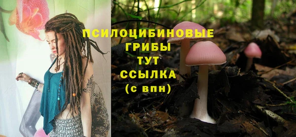 марки lsd Ельня