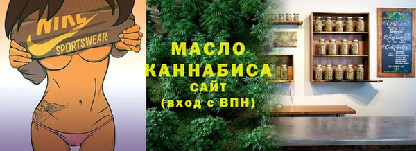 индика Елизово