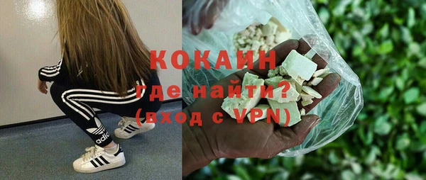 индика Елизово