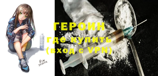 индика Елизово