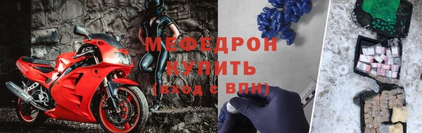 индика Елизово