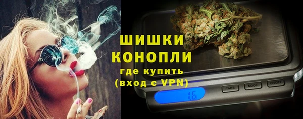 индика Елизово