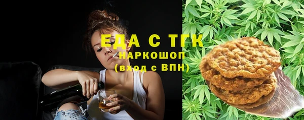 мдпв Елабуга