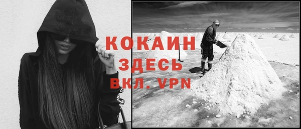 мдпв Елабуга